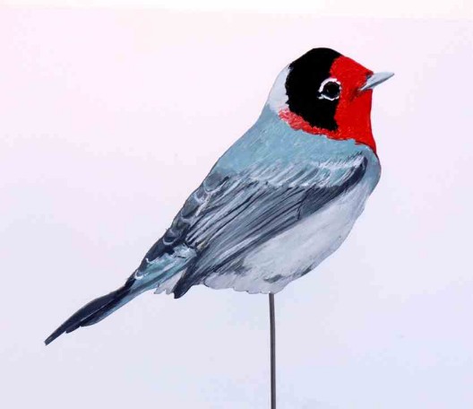 Dreifarben-Waldsänger 0199-a-cardellina rubrifrons Dekovogel