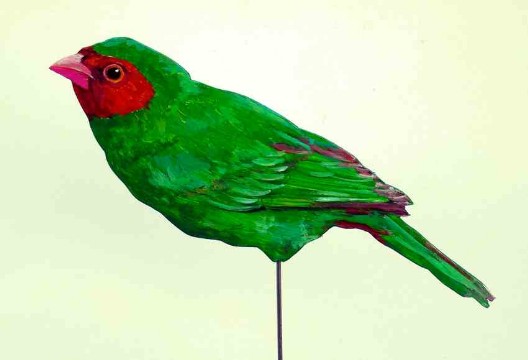 Papageitangare 0383-a Dekovogel