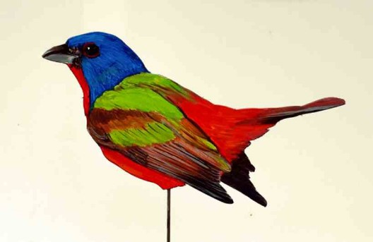 Papstfink 0641-a Dekovogel