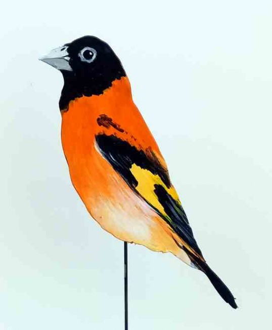 Kapuzenzeisig 0888-a Dekovogel