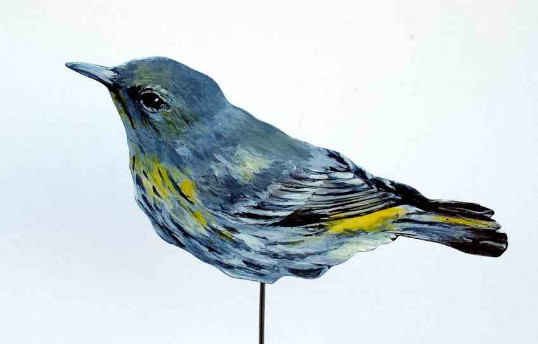 Tigerwaldsänger 0912-a Dekovogel