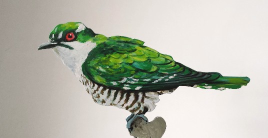 Goldkuckuck 0942-a chrysococcyx caprius