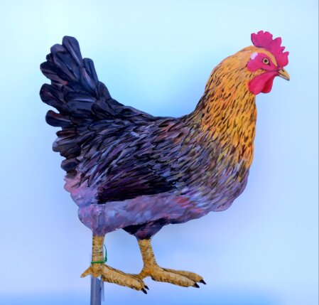 Deko-Huhn-13-25.jpg goldhalsig Gartenfigur wetterfest