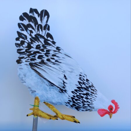 Deko-Huhn 15-25