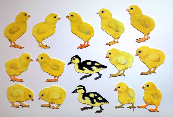 Deko-Küken, wetterfest Hühnchen und Enten